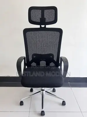 Office Orthopaedic Chair