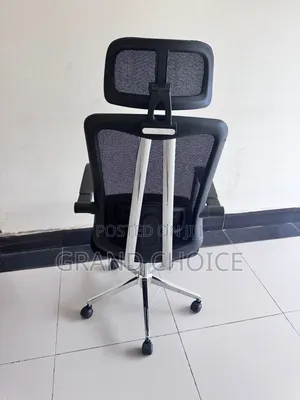 Office Orthopaedic Chair