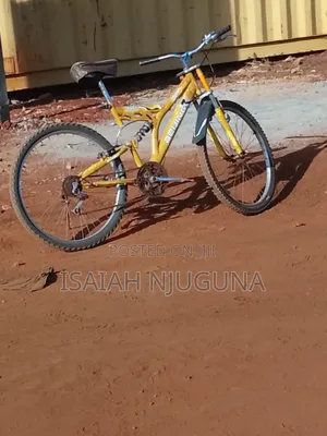 Mountain Bike