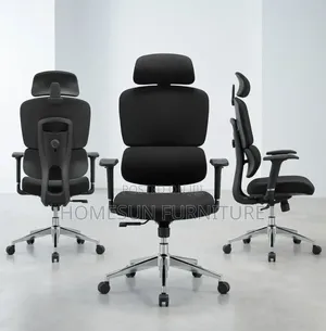 Ergonomic High-Back Office Chair With Adjustable Headrest