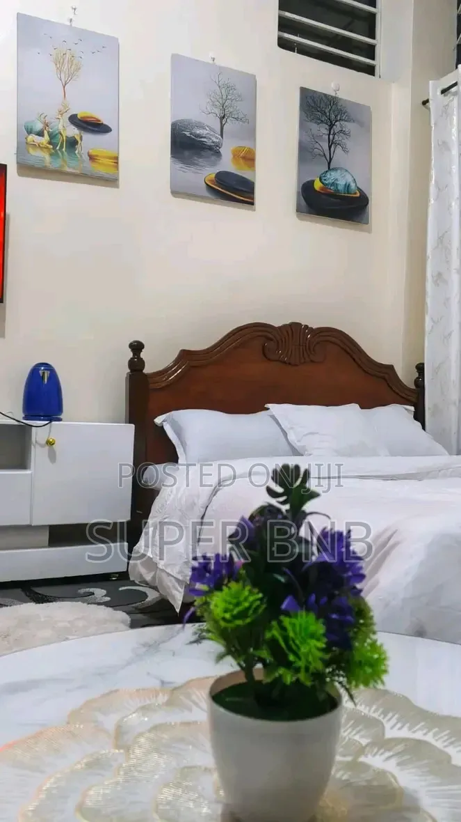 Furnished Studios 1 Bedroom Airbnb in Juja Available