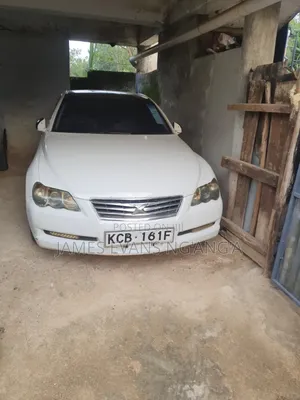 Toyota Mark X 2007 Pearl