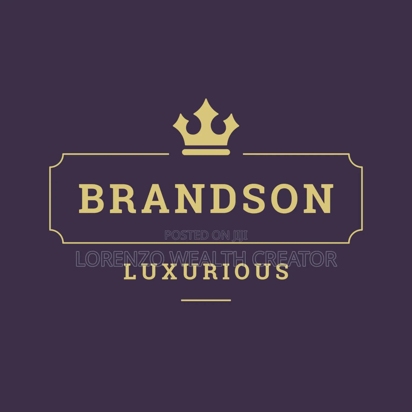 I Will Create Custom Business Logo Design