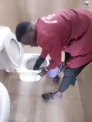 Sink and Toilet Cleaning
