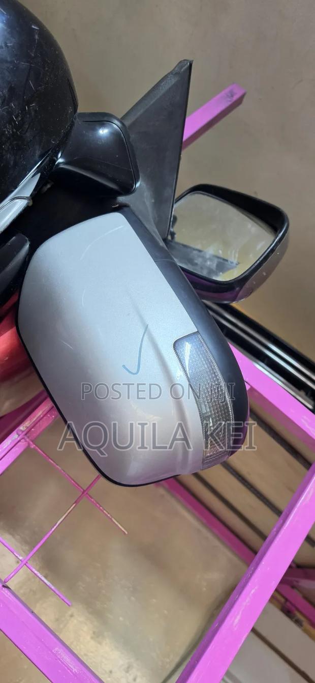 Serena 2012 Sidemirrors