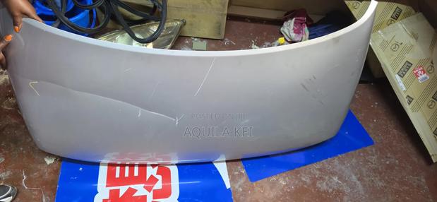 Alto 2020 Bonnet - main view