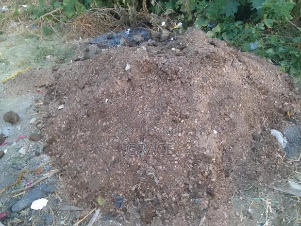 Poultry Farm Manure
