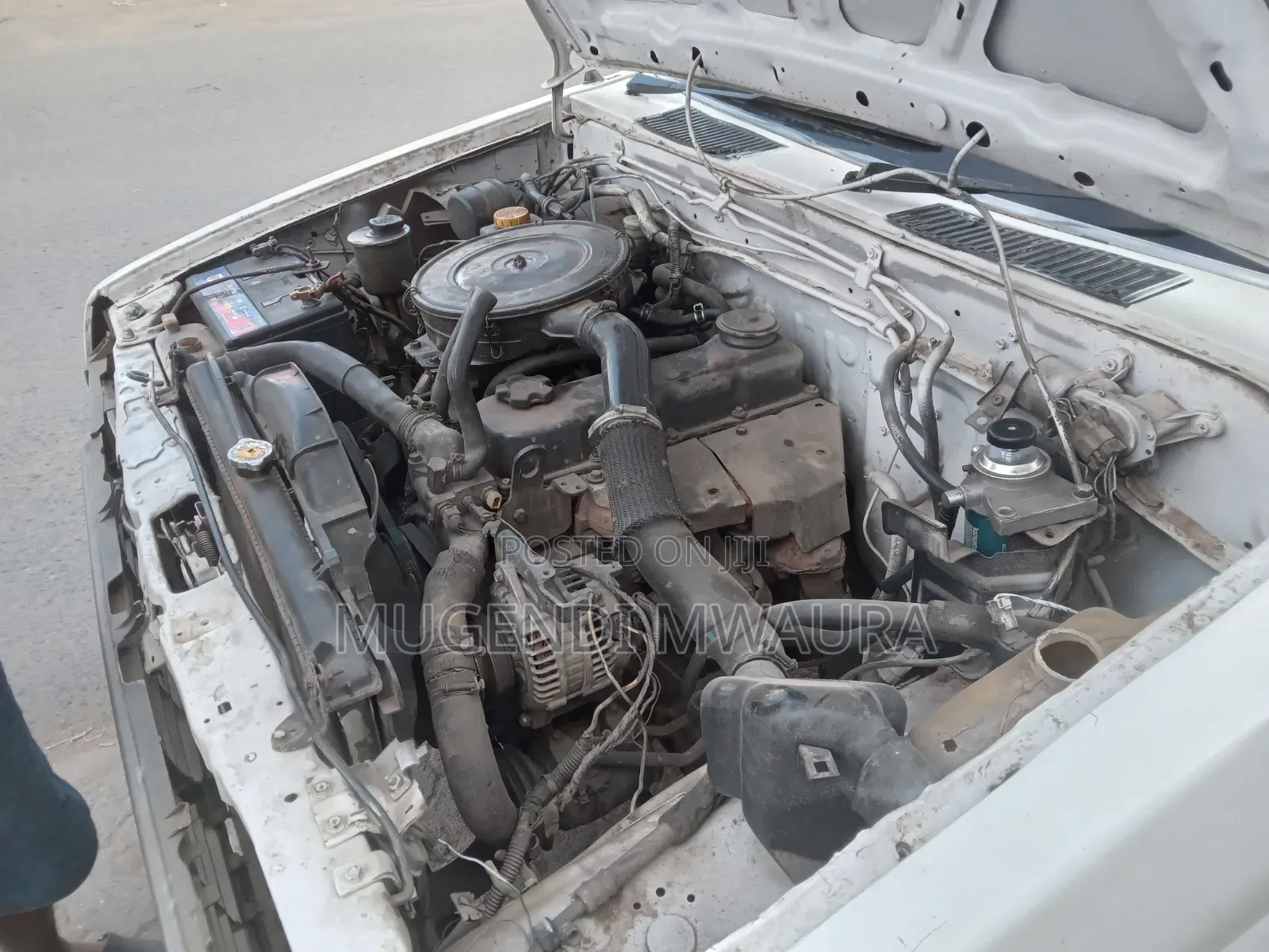 Nissan Pick-Up 2006 White