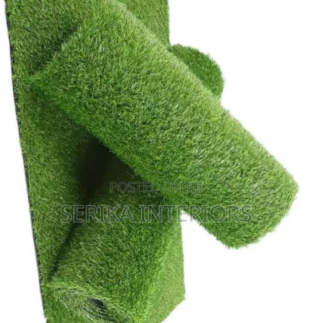 Green Grass Carpets Grass Carpets Environmental Friendly Robertson's