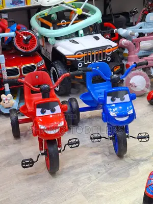 Perfect Kids Gift Tricycle Toy
