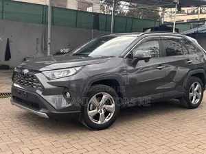 Toyota RAV4 LE AWD 2020 Gray