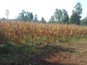 An Acre Freehold Land in Kisumu Behind Royal Swiz Hotel