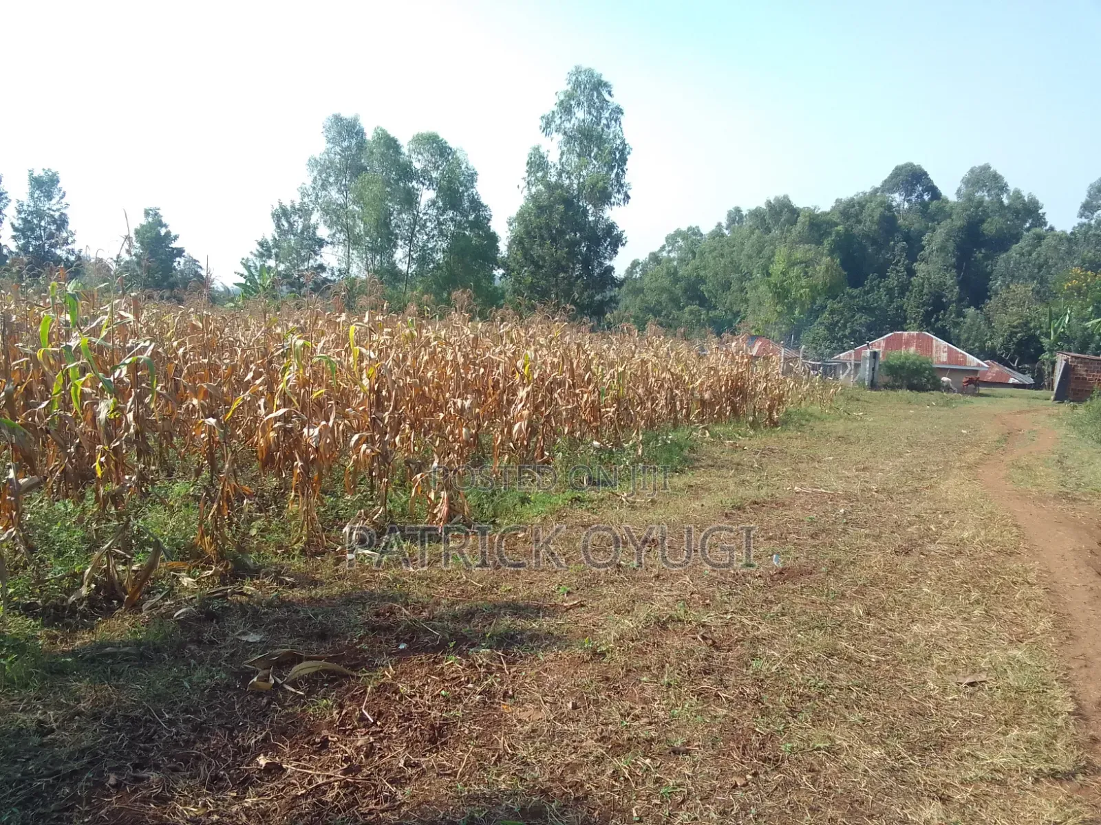 An Acre Freehold Land in Kisumu Behind Royal Swiz Hotel