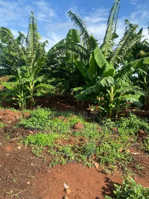 50 Acres Prime Agricultural Land in Ishiara Embu