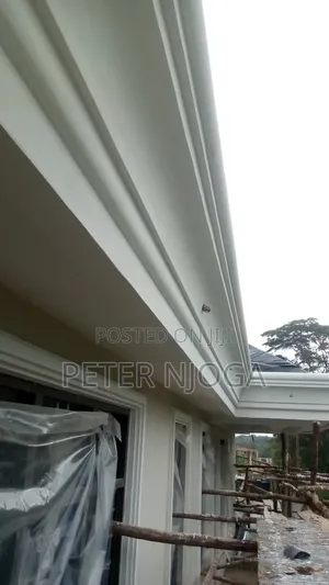 Moldings Making and Its Painting as Well as Skimming