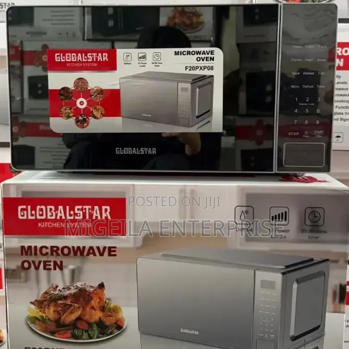 Digital Microwave Global Star
