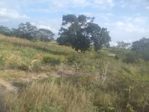 Land on Sale Kwale Kinango