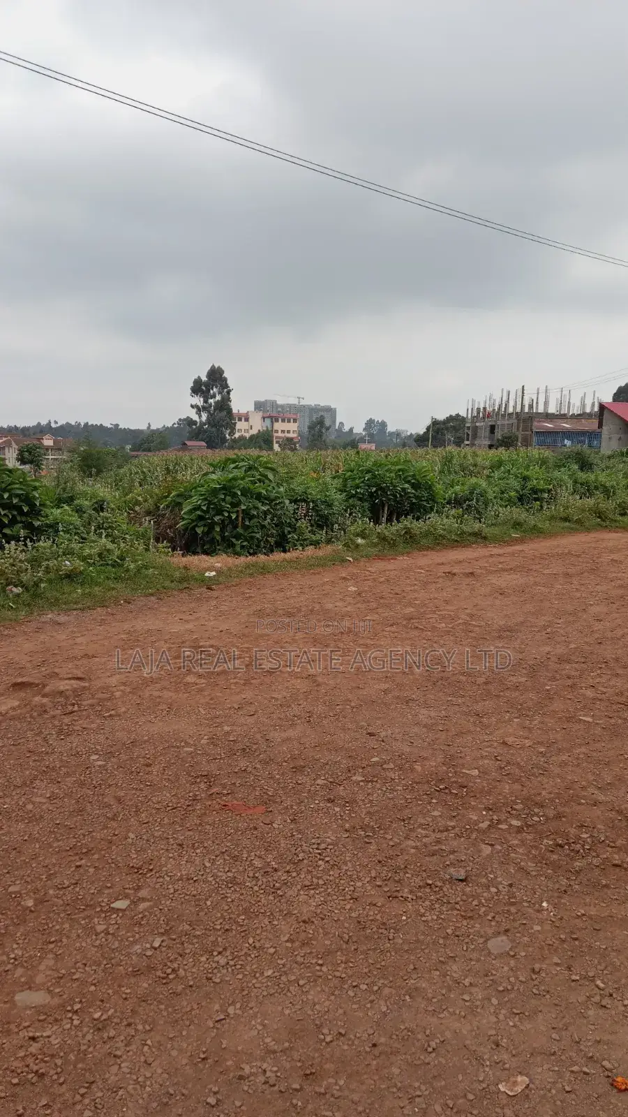 Plot to Sell,Limuru
