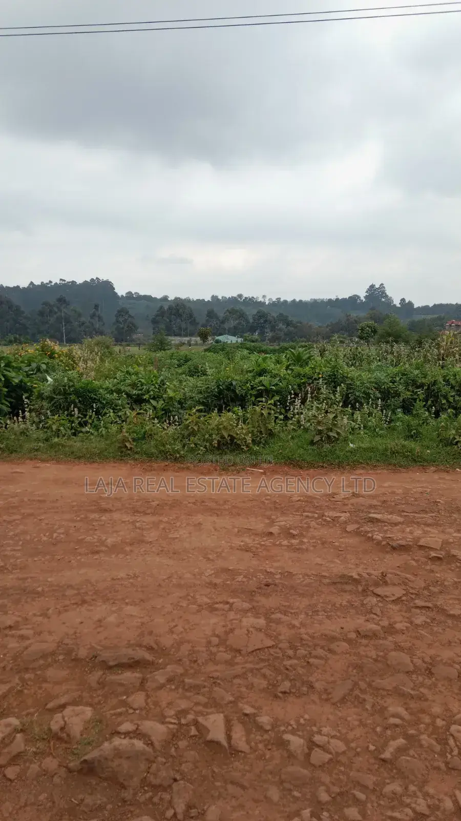 Plot to Sell,Limuru