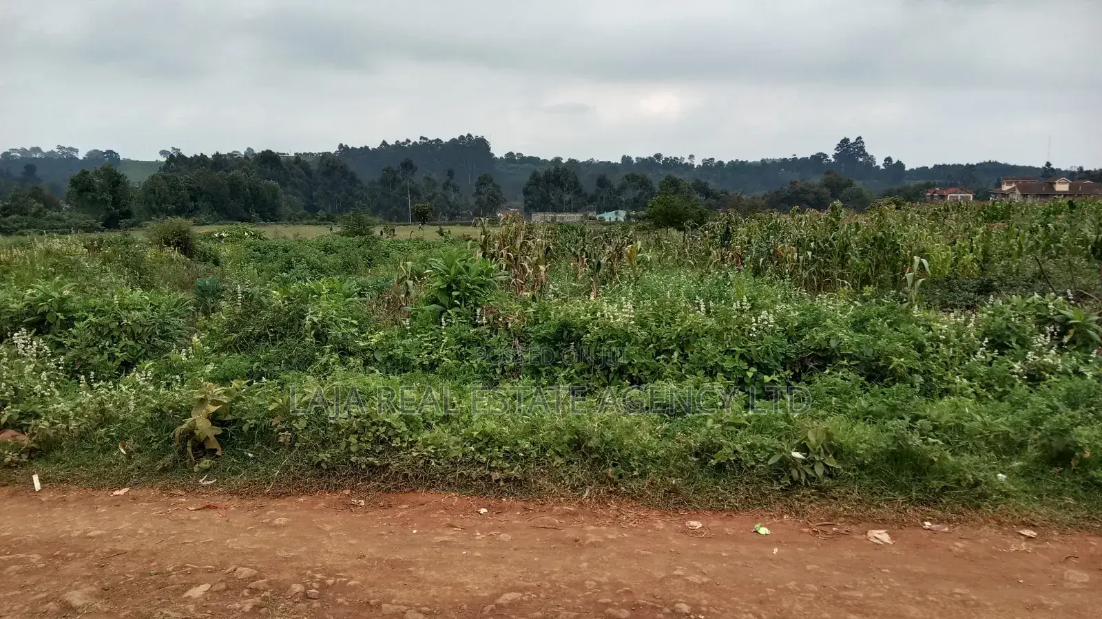 Plot to Sell,Limuru