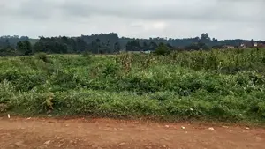 Plot to Sell,Limuru