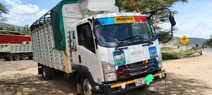 Isuzu FRR Truck