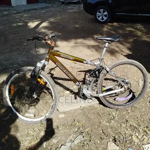 Silverfox Mountain Bike