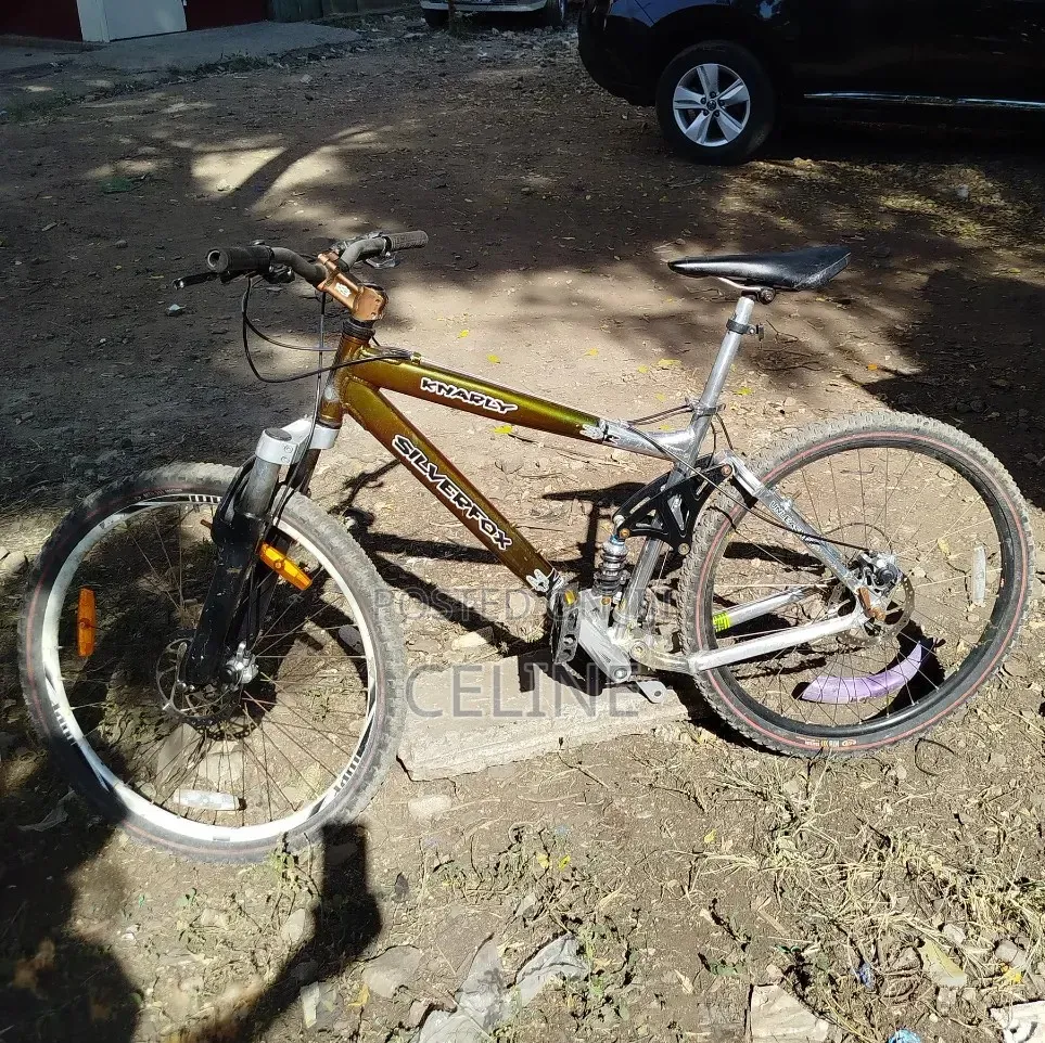 Silverfox Mountain Bike