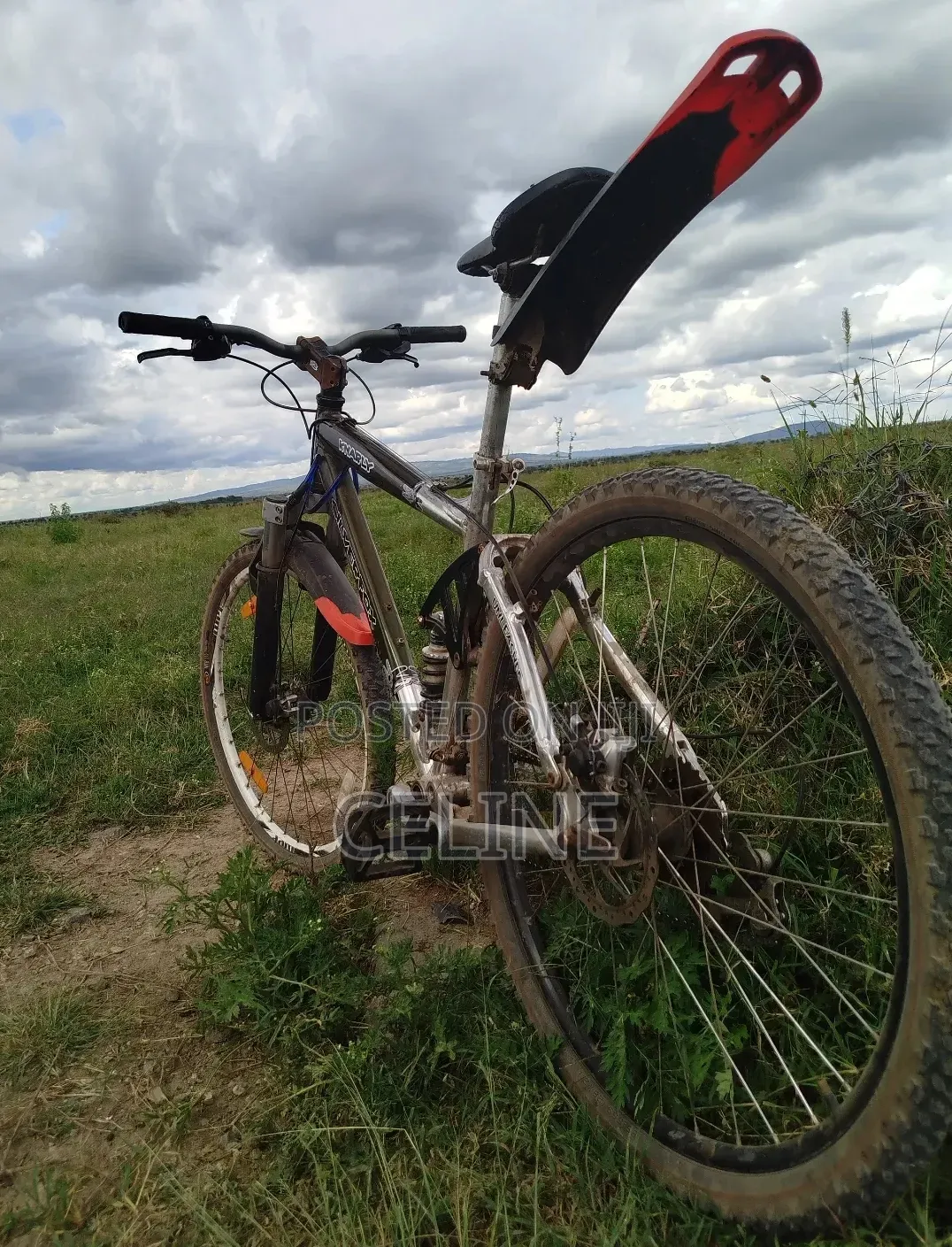 Silverfox Mountain Bike