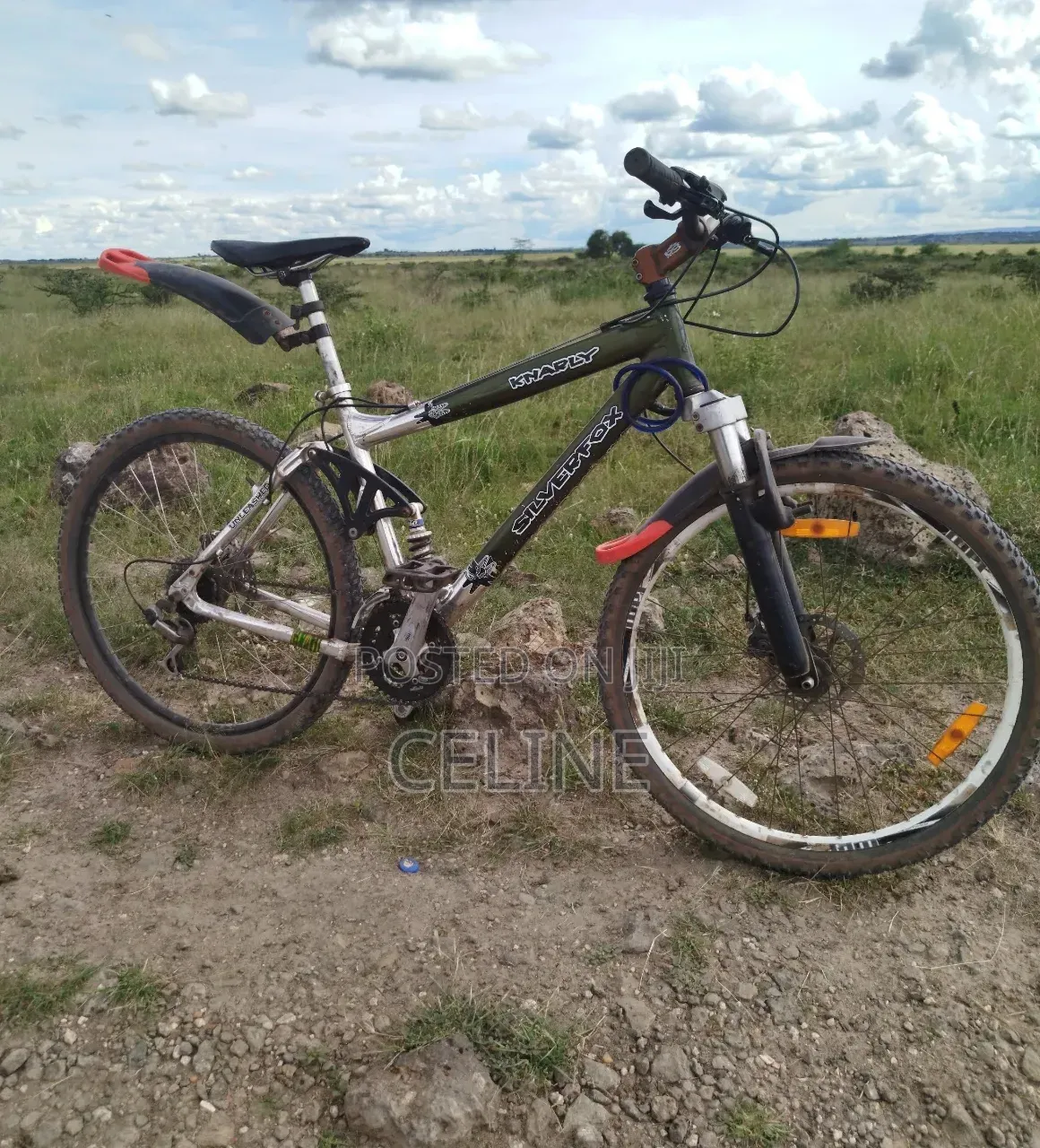 Silverfox Mountain Bike