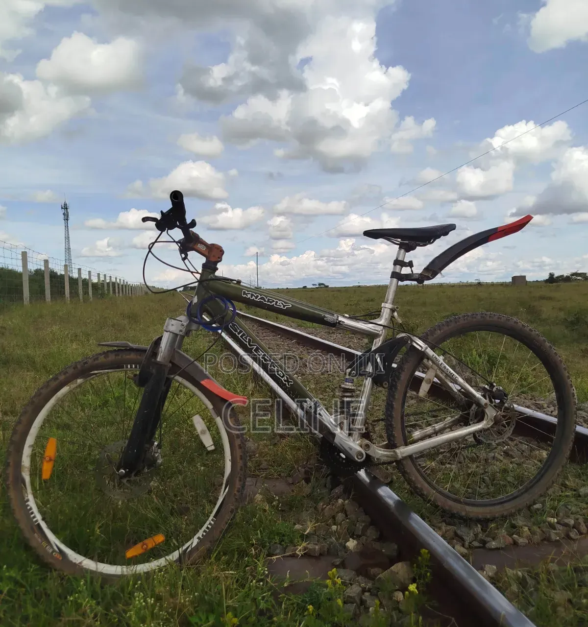 Silverfox Mountain Bike