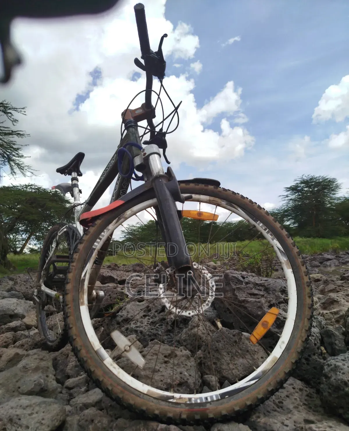 Silverfox Mountain Bike
