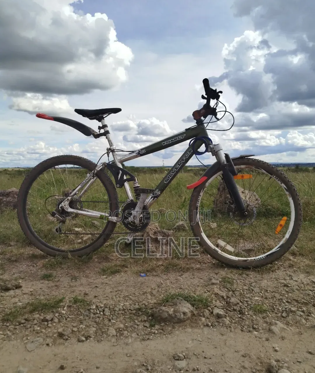 Silverfox Mountain Bike