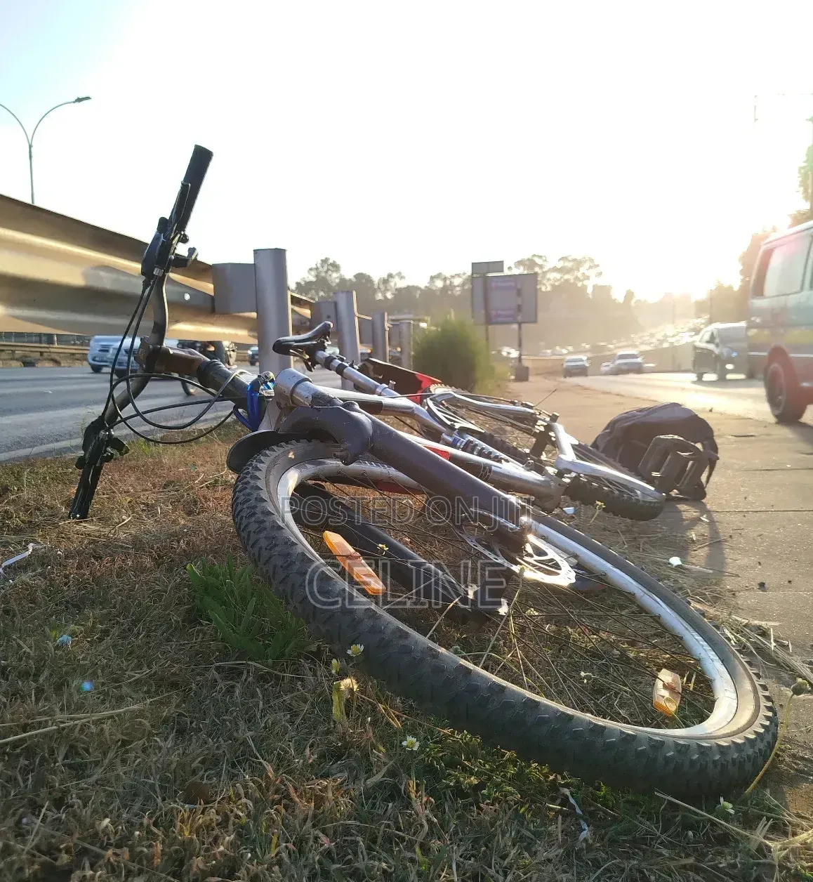 Silverfox Mountain Bike
