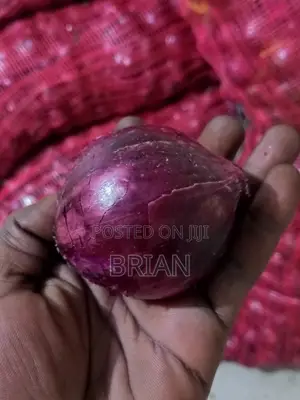 Dried Neptune Onions