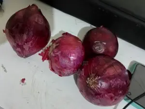 Dried Neptune Onions