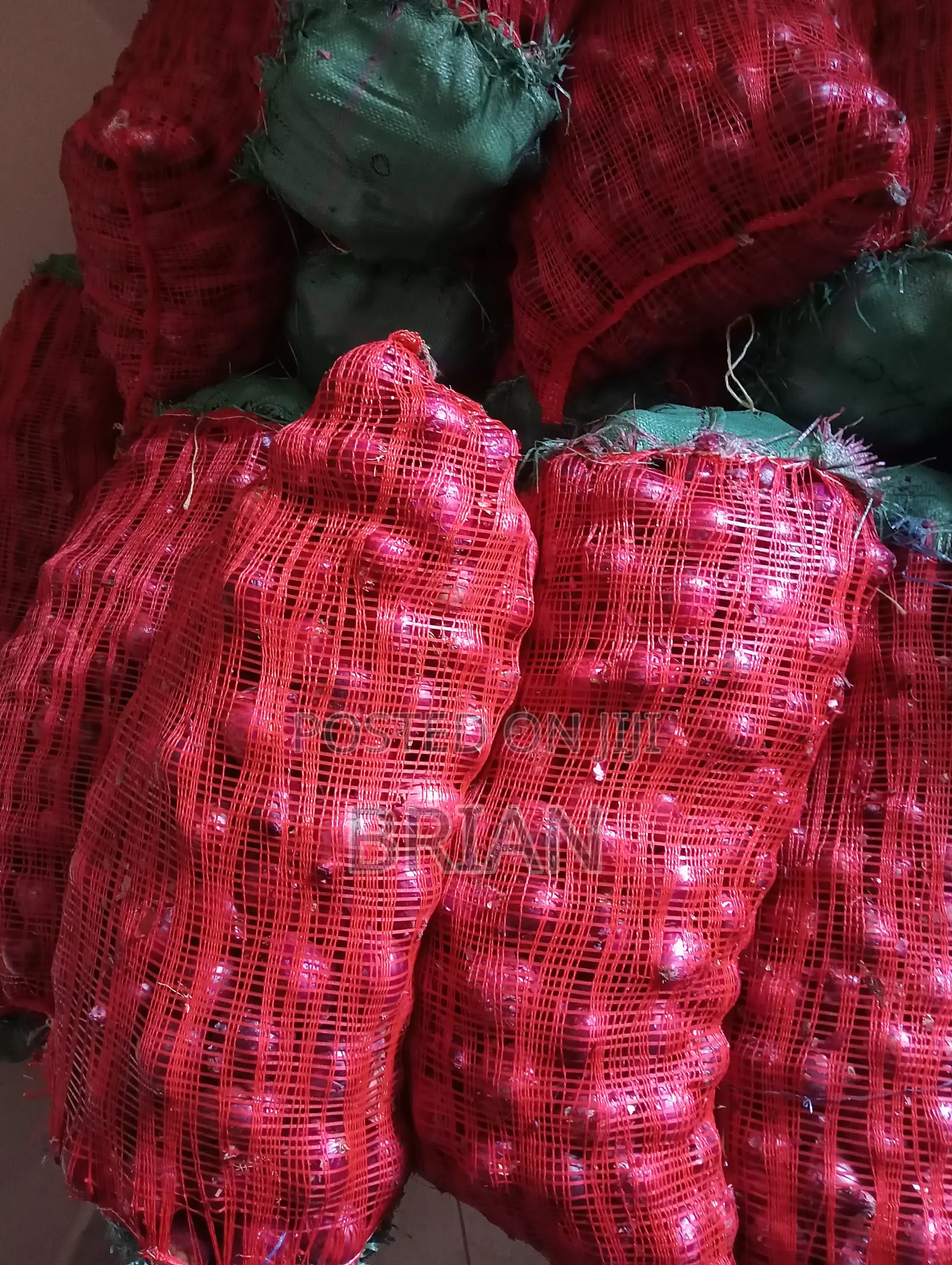 Dried Neptune Onions