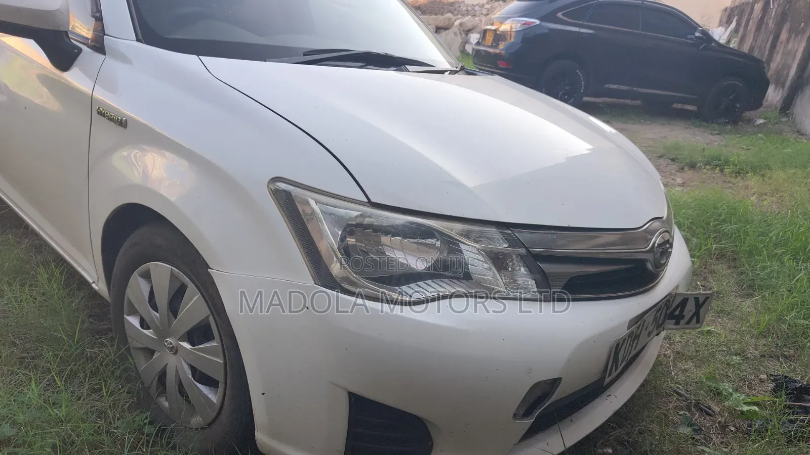 Toyota Axio 2015 Pearl