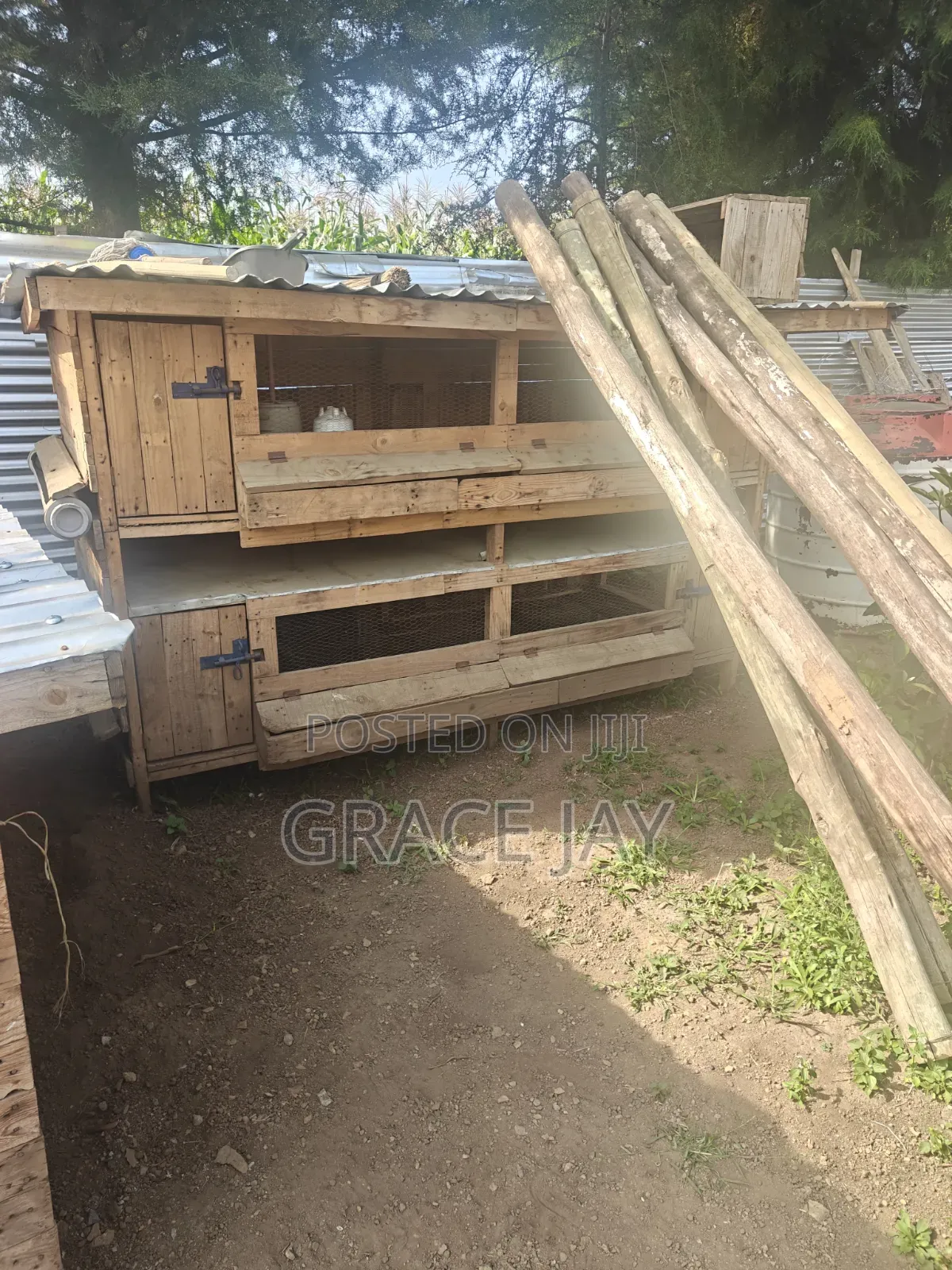 Twin Dog House and Double Chicken Coup
