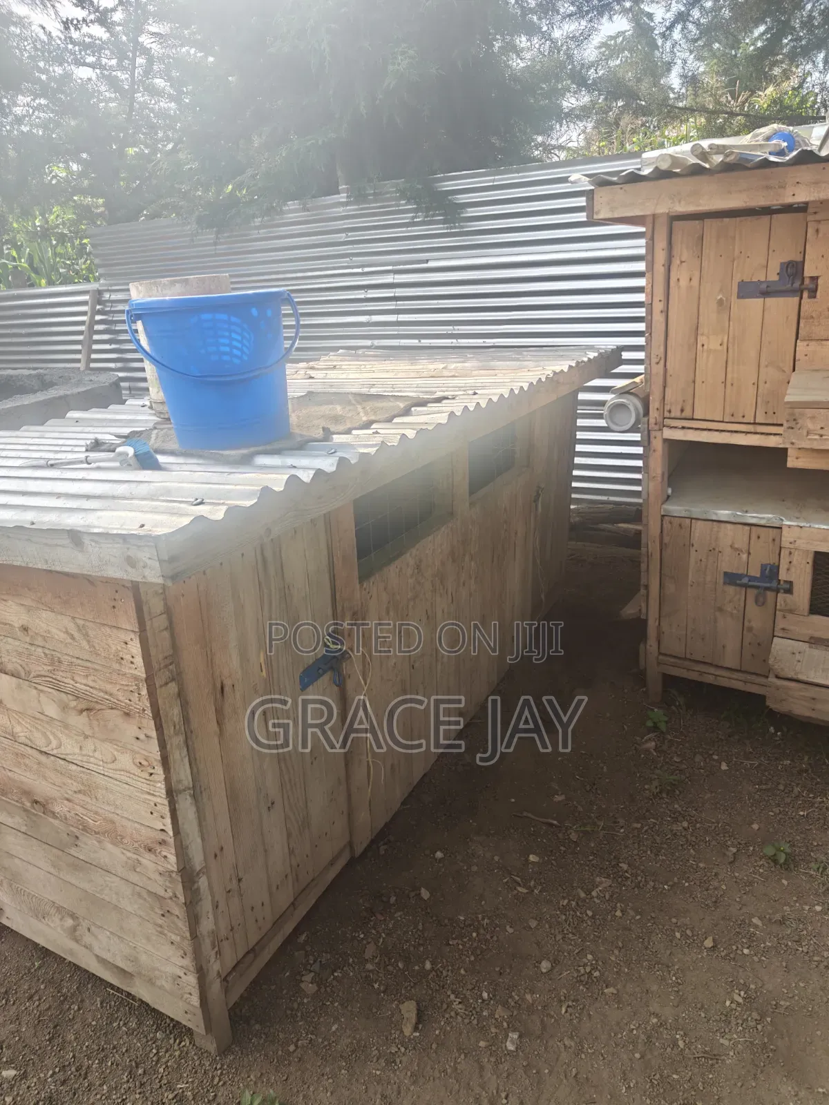 Twin Dog House and Double Chicken Coup
