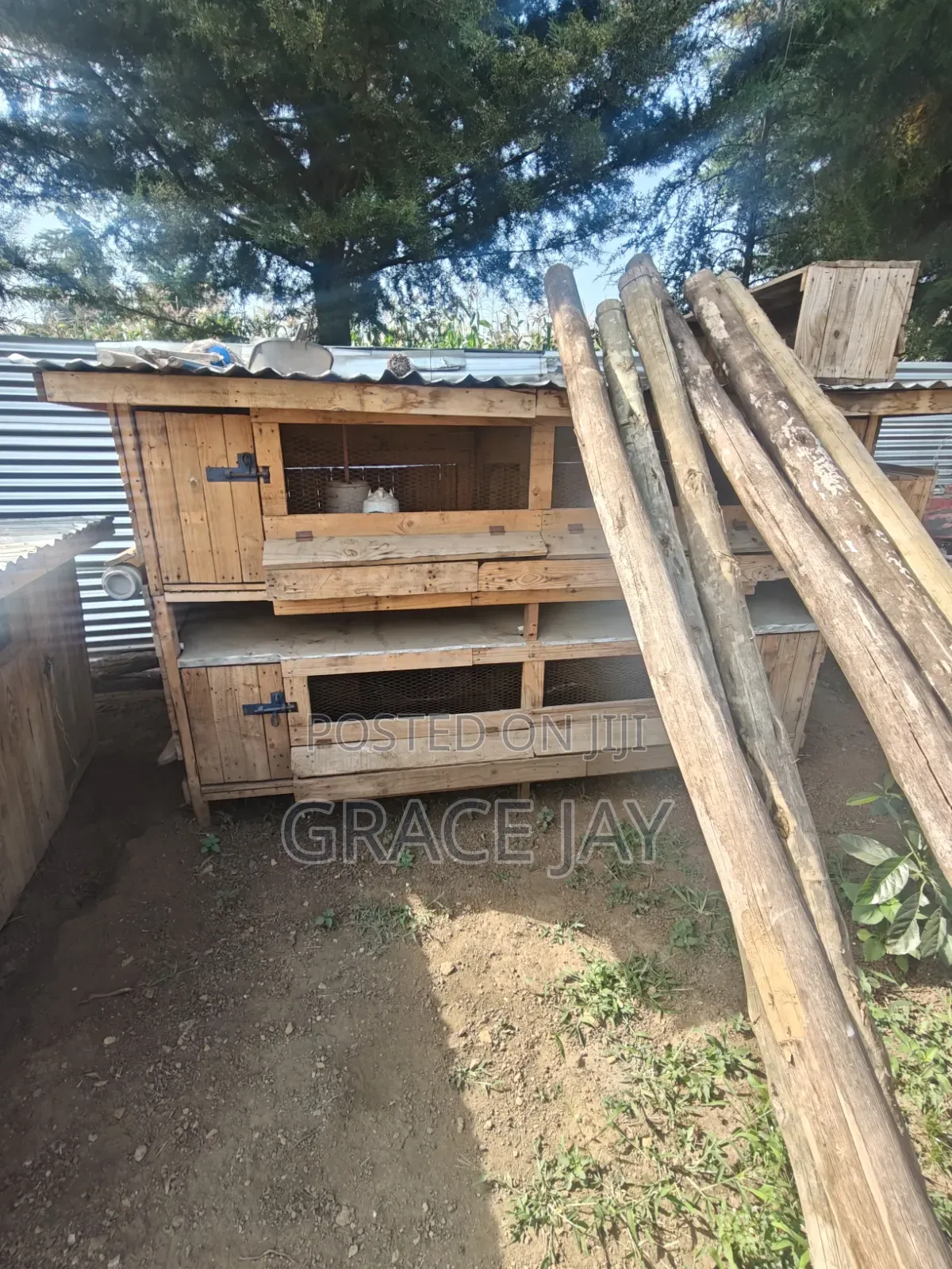 Twin Dog House and Double Chicken Coup