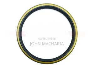 Rear Wheel Oil Seal for Mitsubishi Fuso 154×172×12