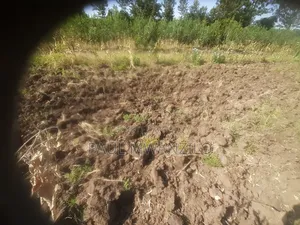 Land on Sale at Ukia Ward