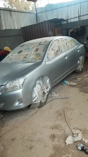 Motor Vehicle Spray/Painting