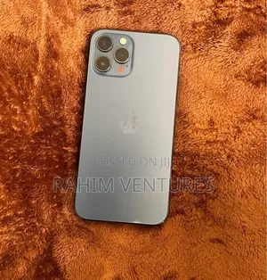 Apple iPhone 12 Pro 256 GB Gray