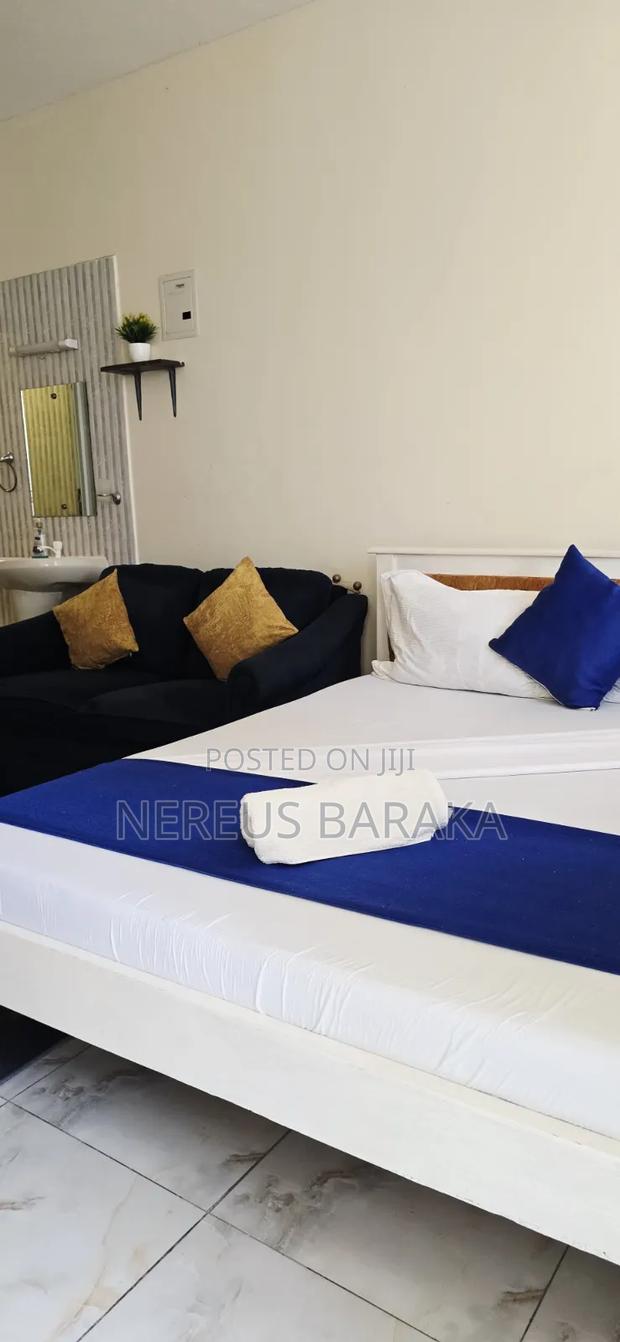 One Bedroom Studio Apartment - thumbnail 9