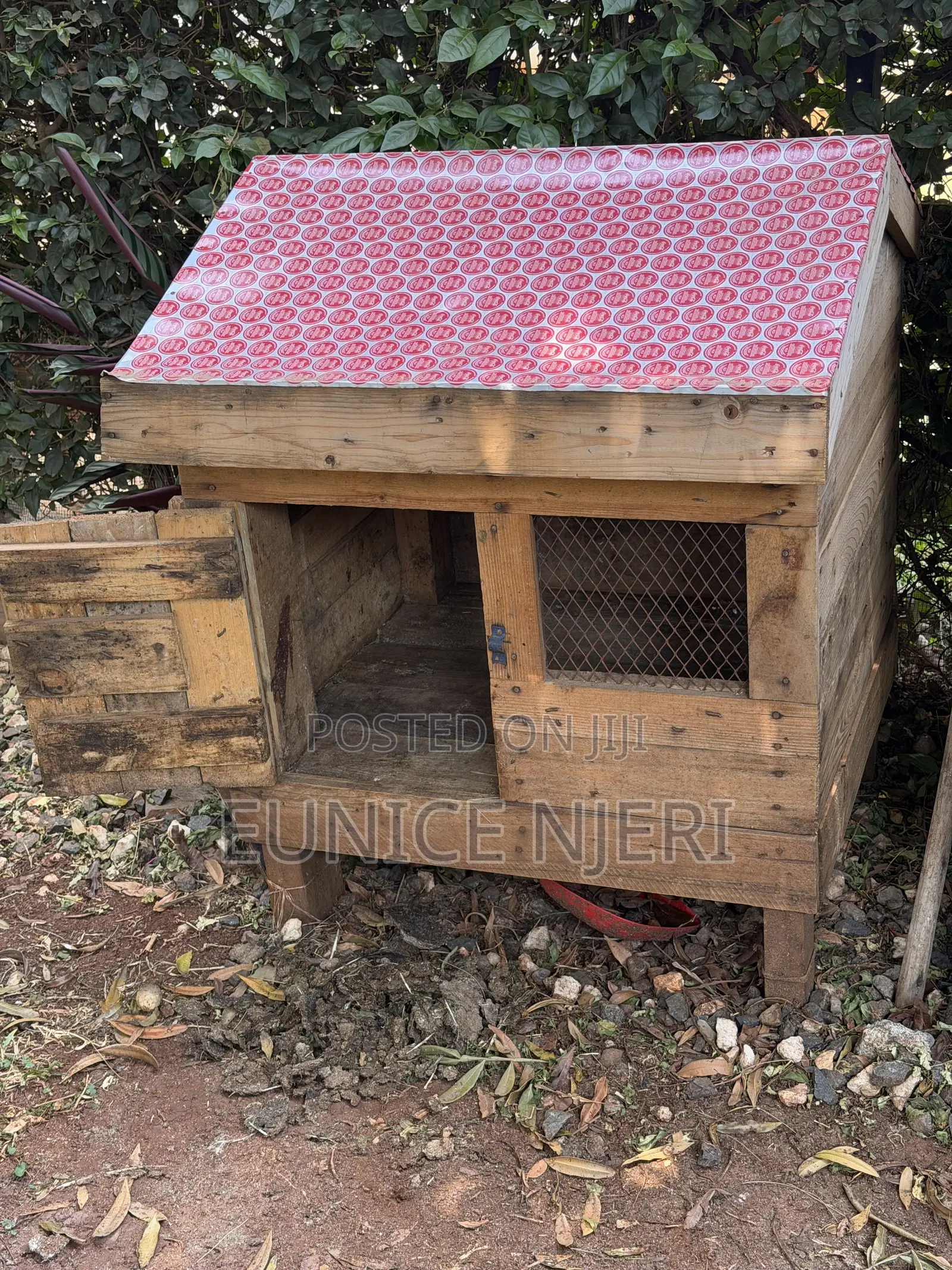 Chicken and Dogs Cages