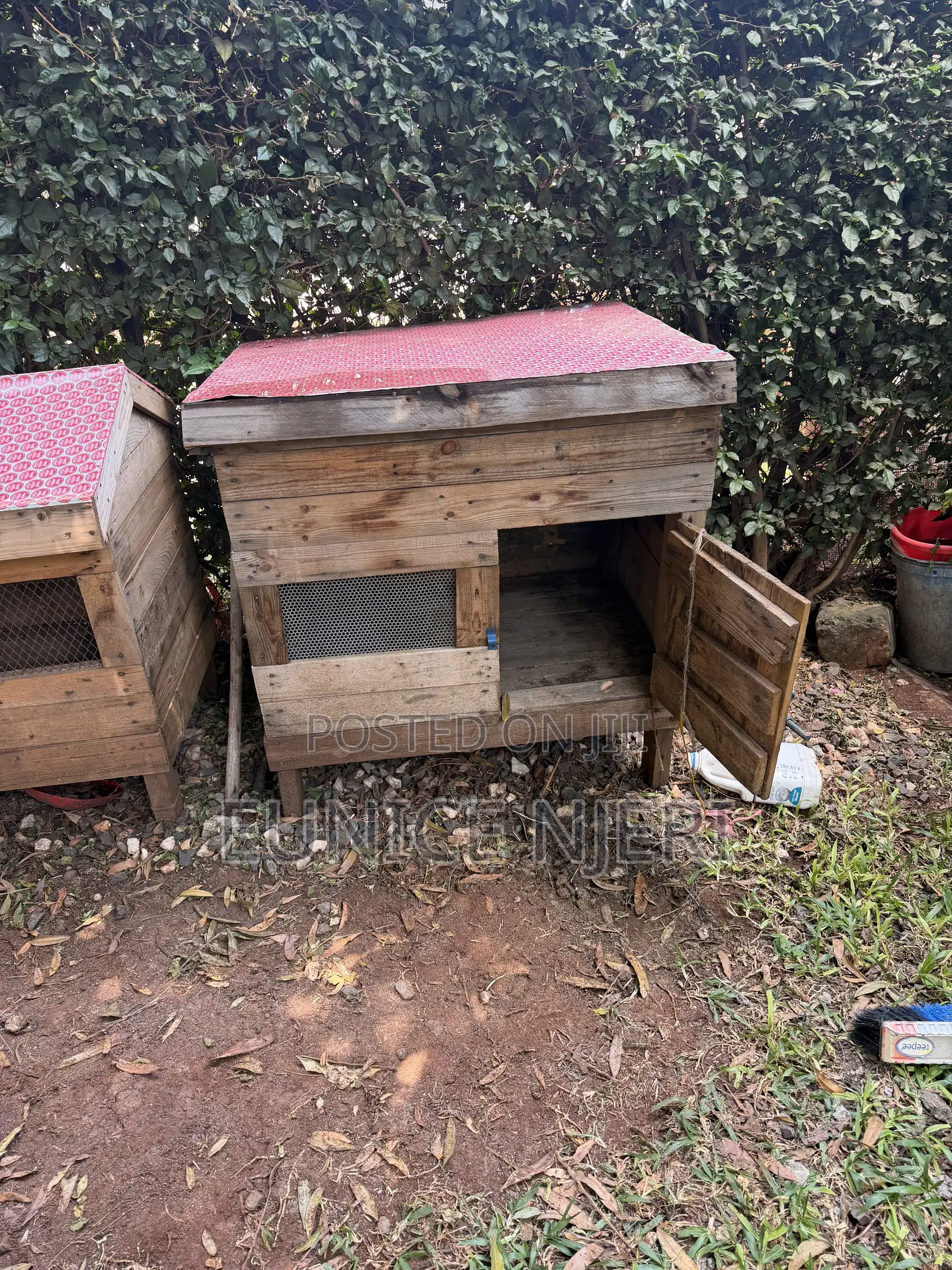 Chicken and Dogs Cages
