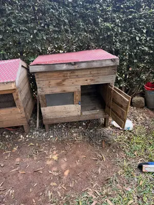 Chicken and Dogs Cages