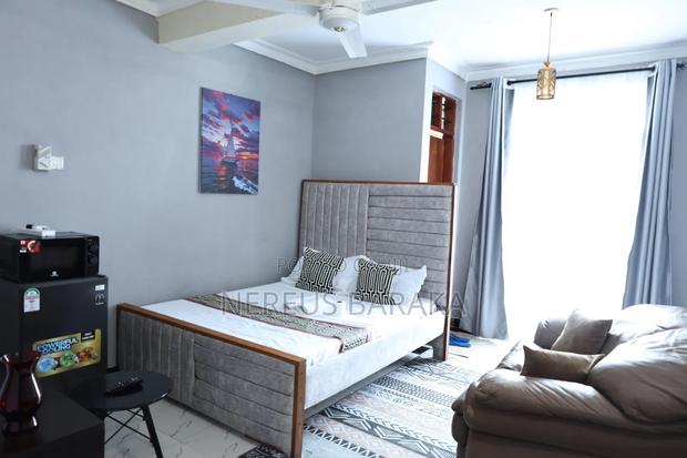 One Bedroom Studio Apartment - thumbnail 10